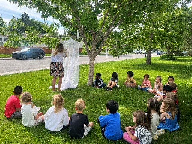 Butterfly Release 2 June 2026